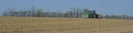 Plantation